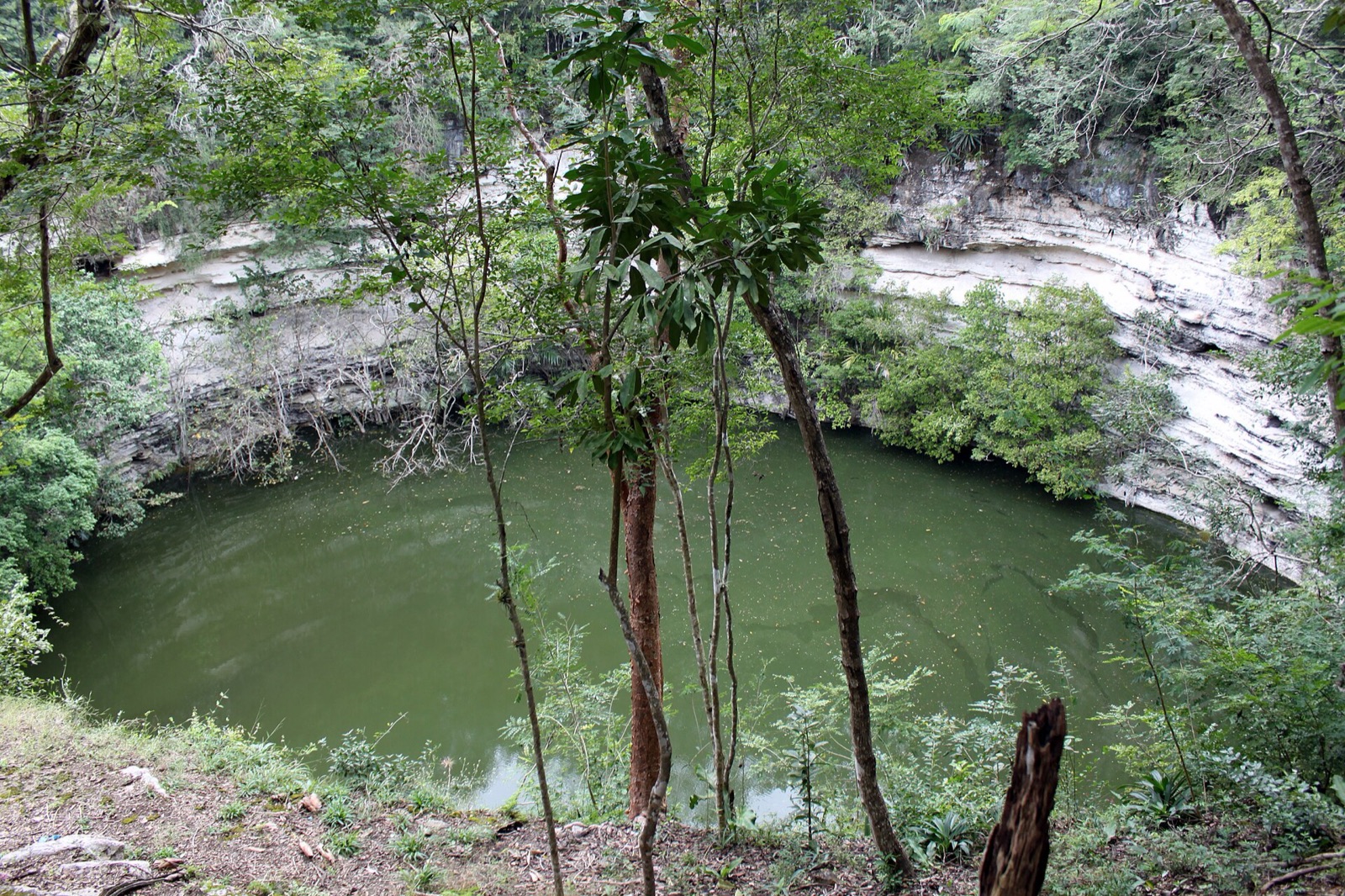 Sacred Cenote in Mexico