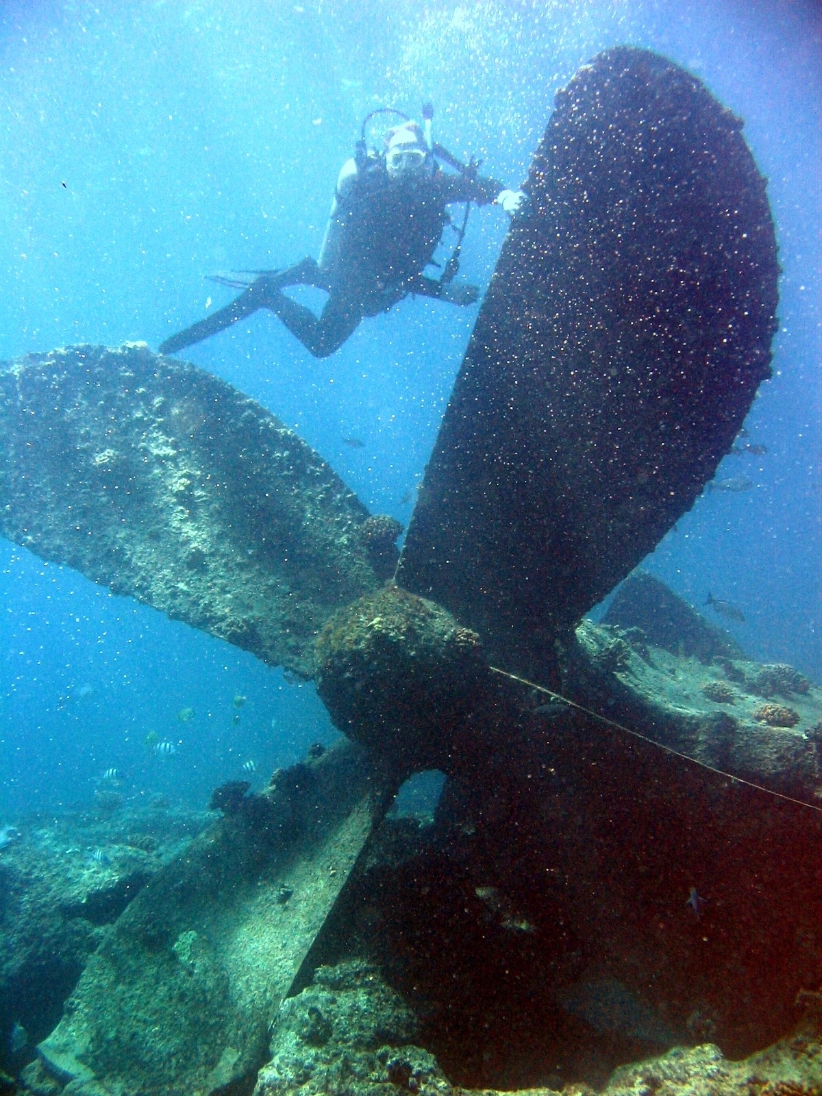 MS Zenobia in Location recorded in Wikidata