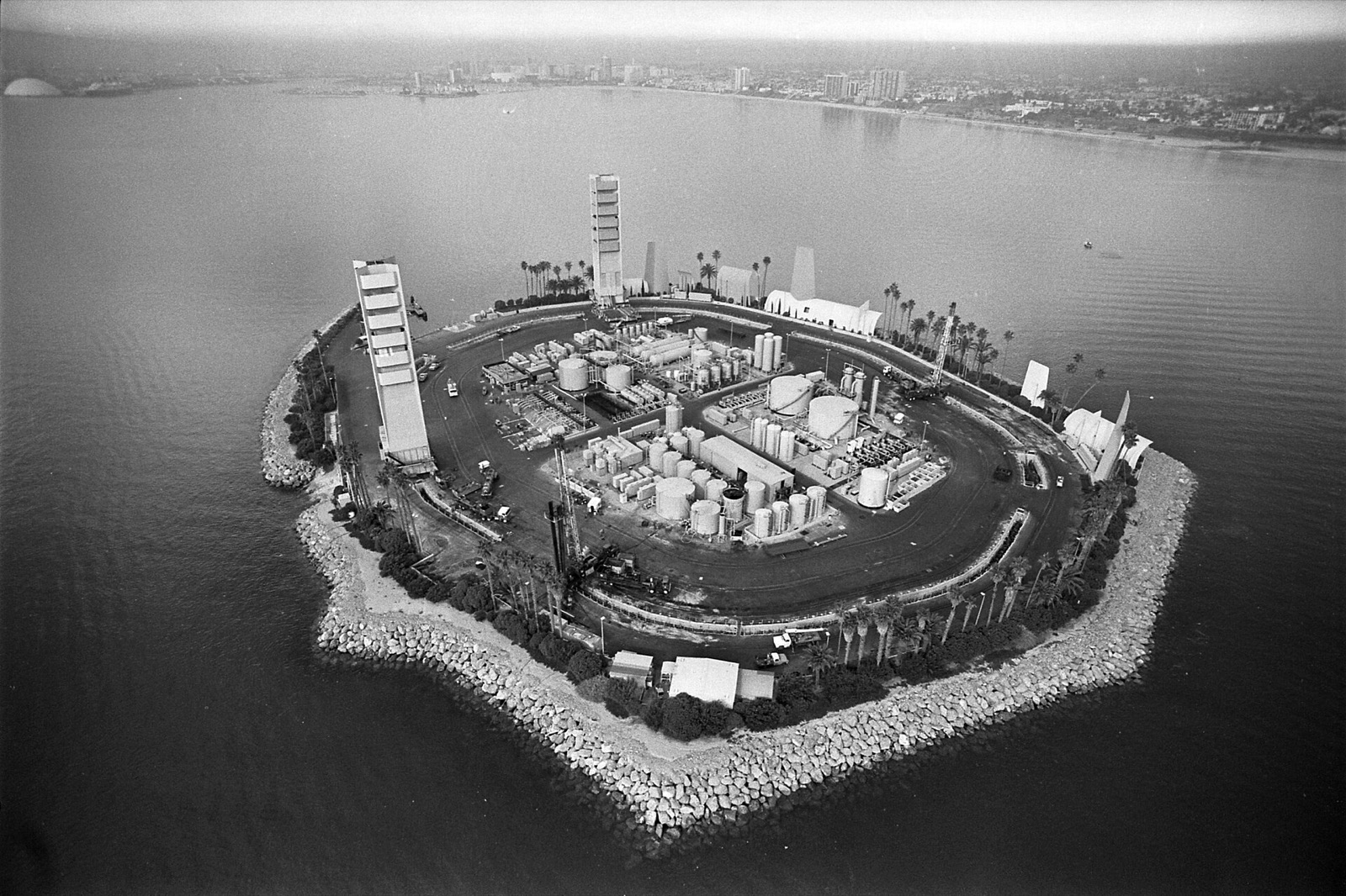 Island White in United States