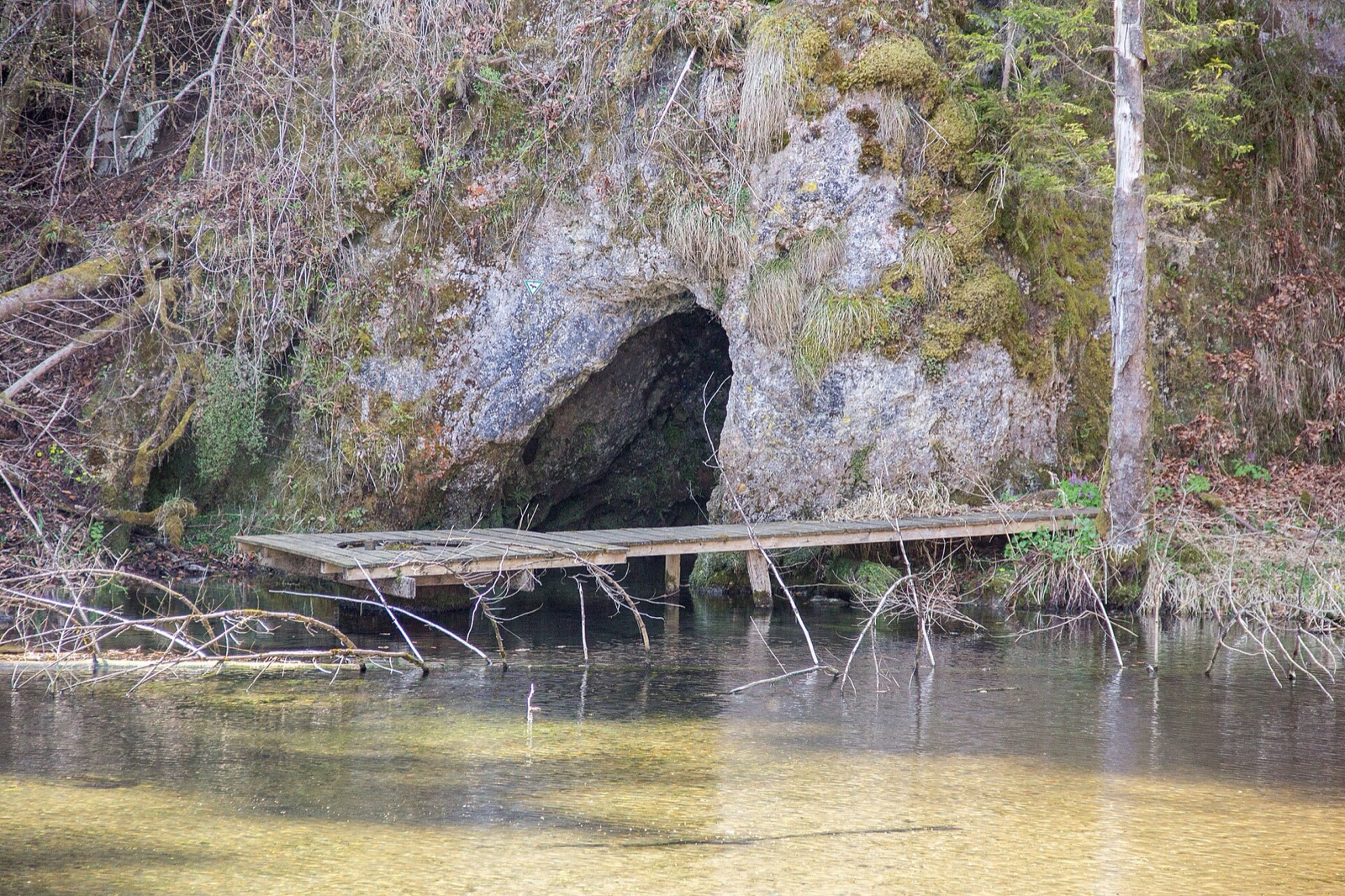 Quellaustritt Seeweiher (D68) WSW von Michelfeld in Germany