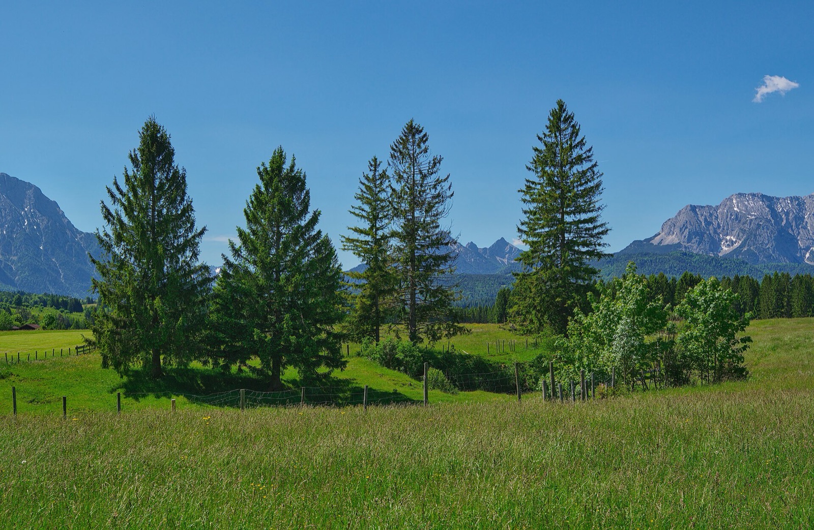 Dolinenfeld bei Krün in Germany