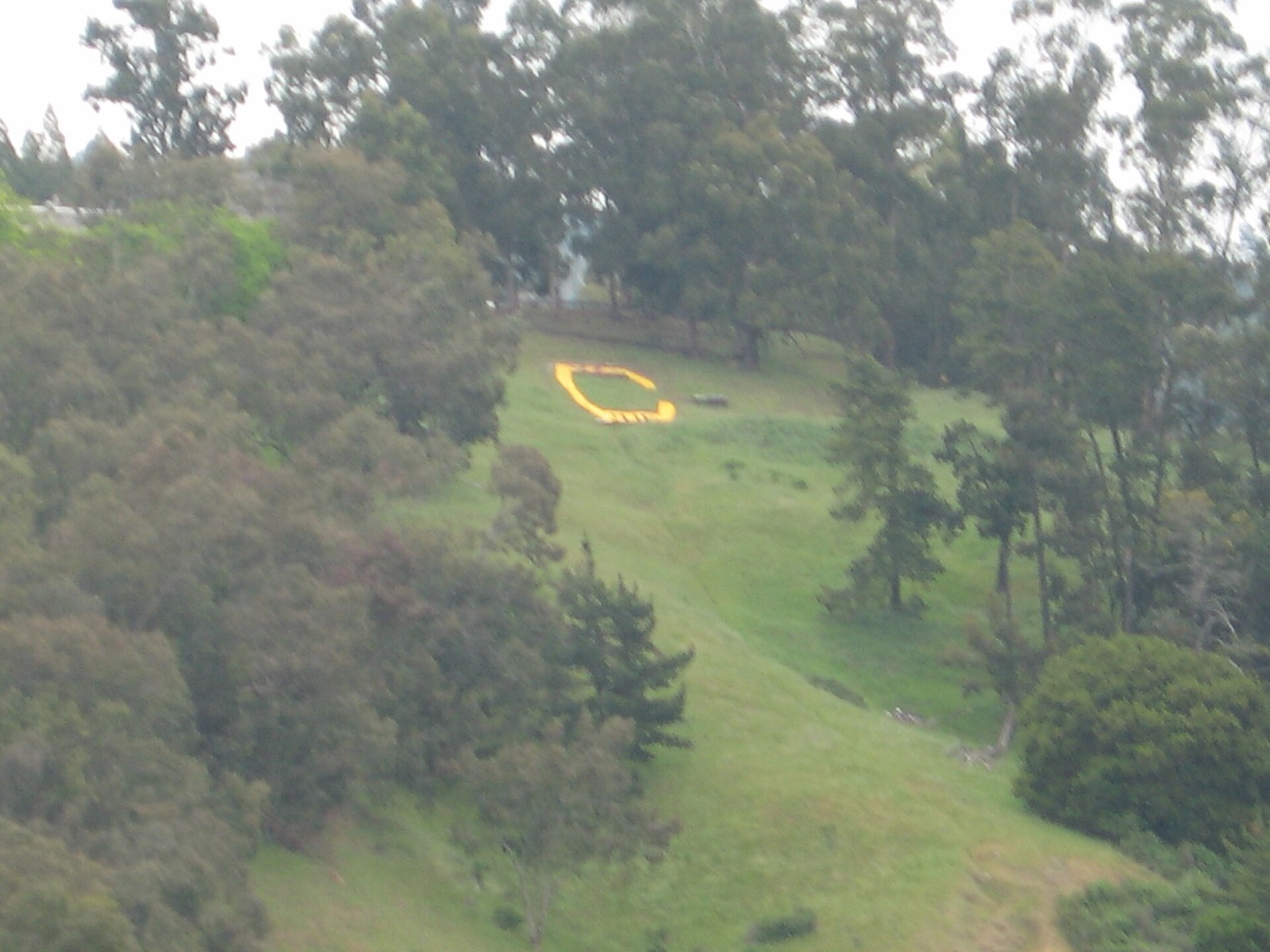 The Big "C" in United States