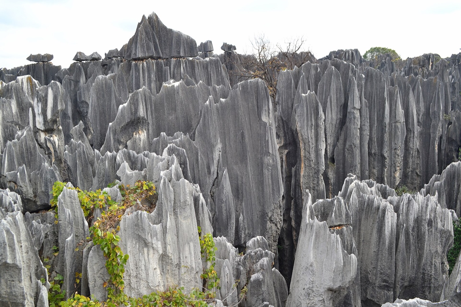 Shilin UNESCO Global Geopark in CN