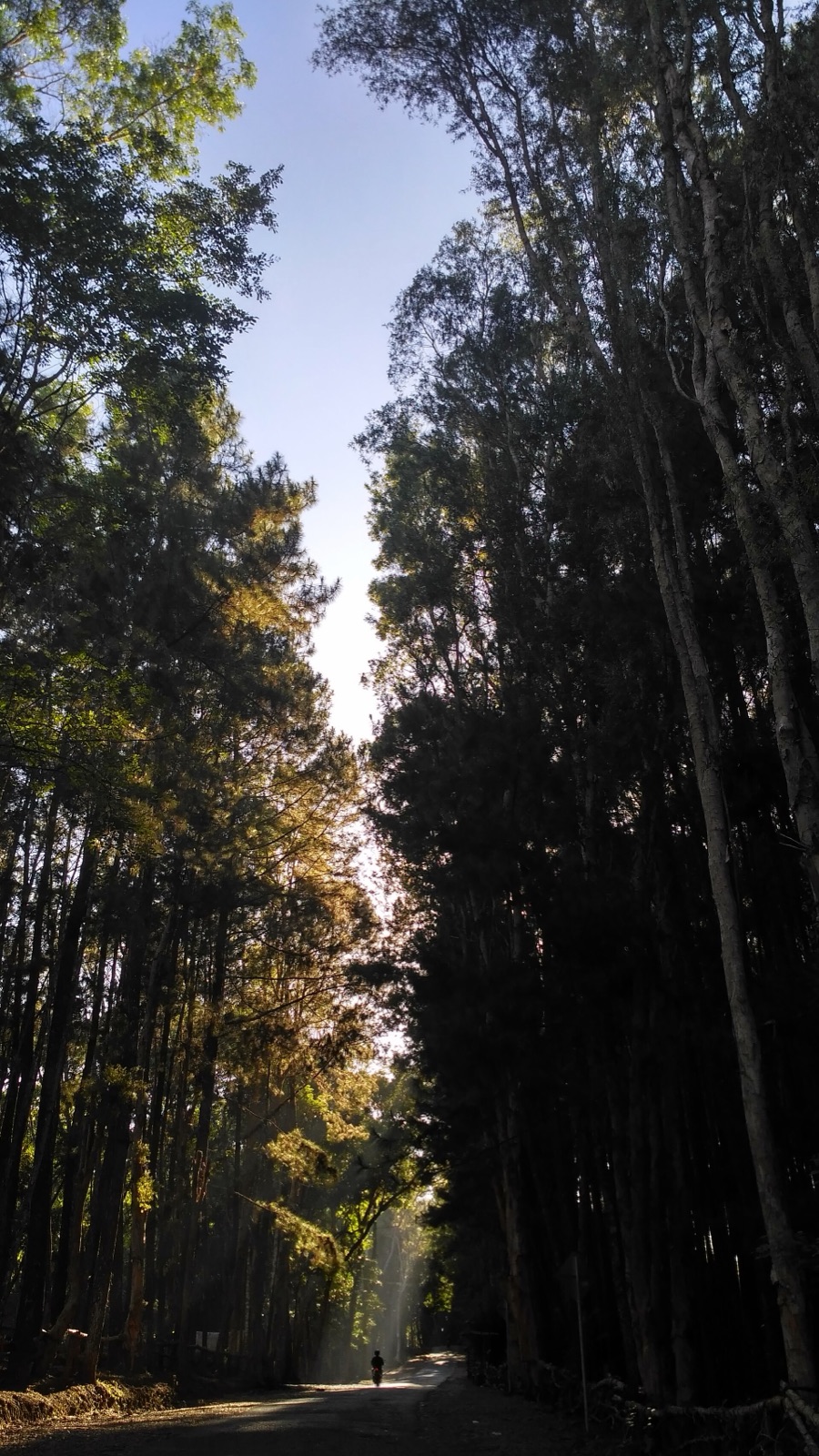 Gunung Sewu UNESCO Global Geopark in ID