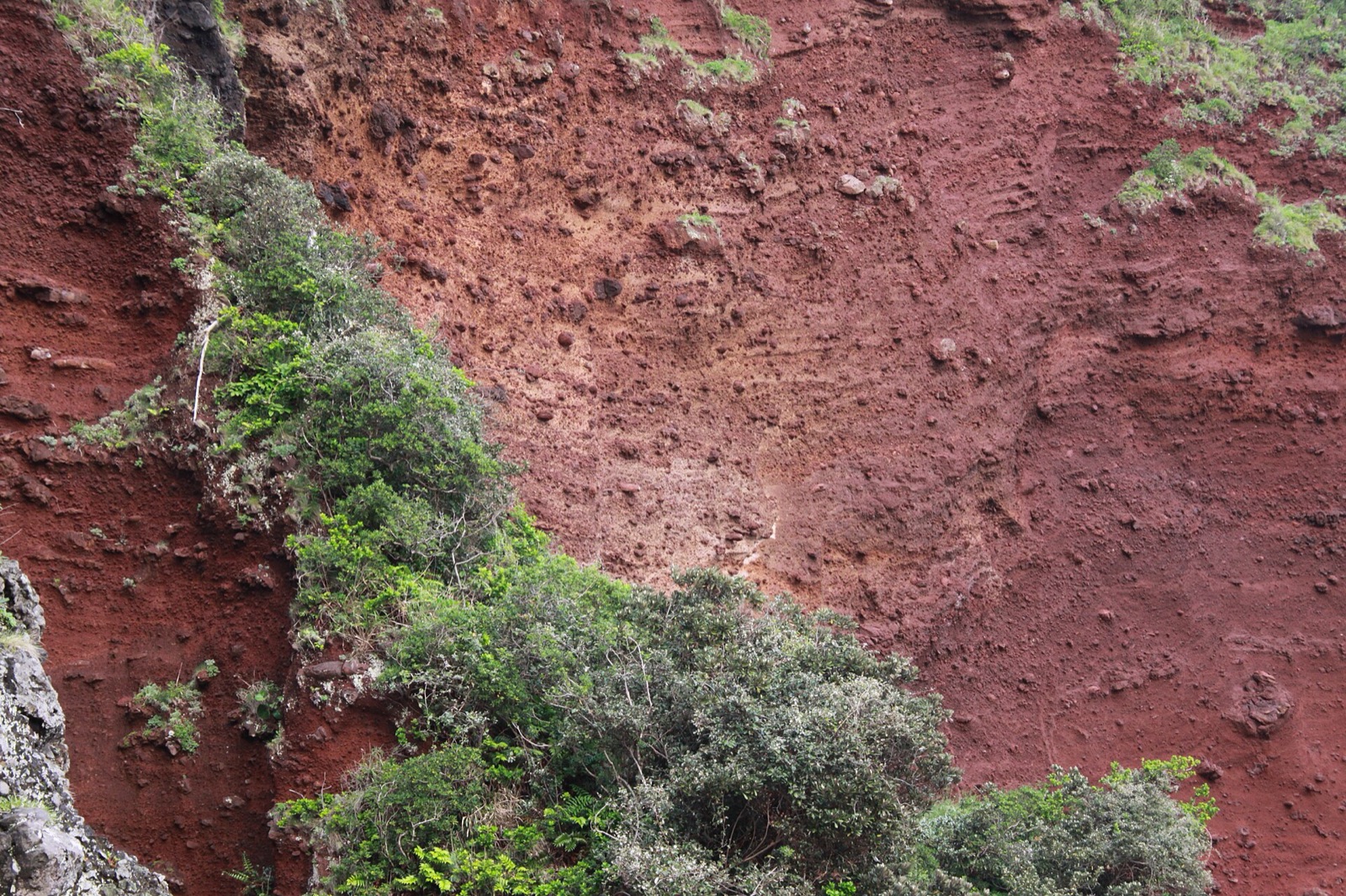 Oki Islands UNESCO Global Geopark in JP