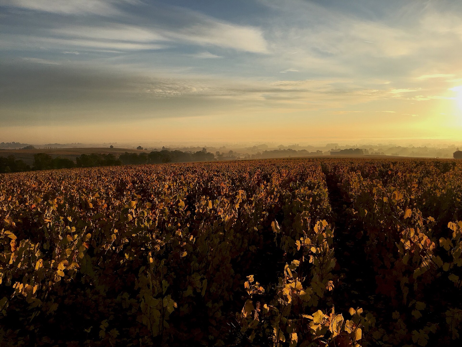 Beaujolais UNESCO Global Geopark in FR