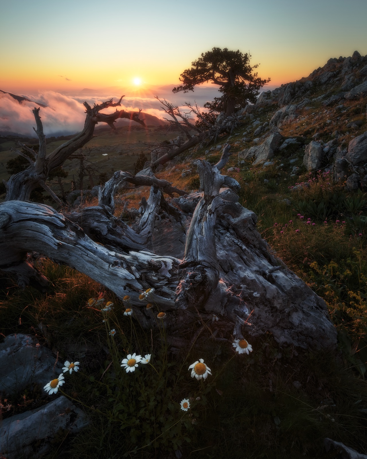Pollino UNESCO Global Geopark in IT
